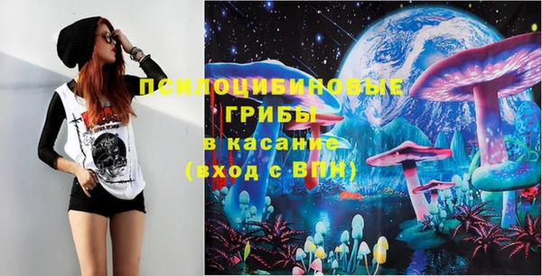 прущие грибы Алексеевка