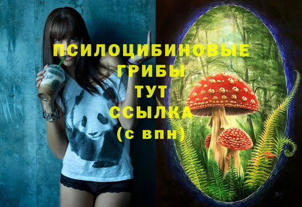 прущие грибы Алексеевка