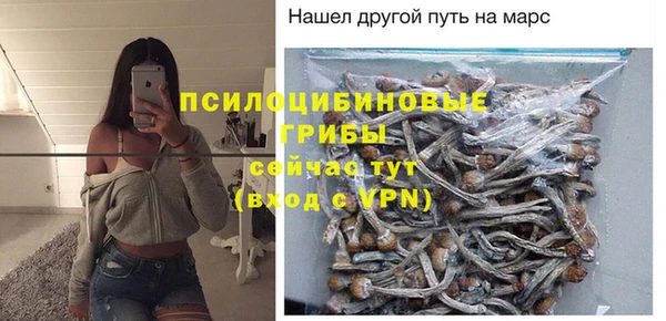 прущие грибы Алексеевка