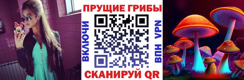 Галлюциногенные грибы GOLDEN TEACHER где можно купить наркотик Амурск