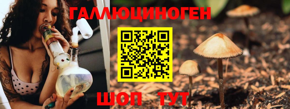 Галлюциногенные грибы Psilocybe  Вход с VPN  Амурск 